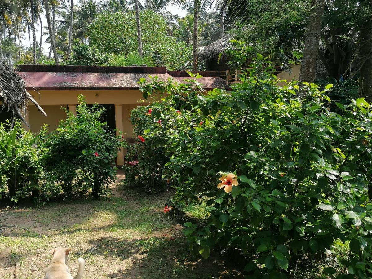 Sukriti Beach Resort バルカラ エクステリア 写真